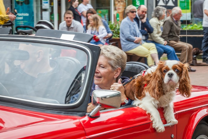 12 weaver wander 2016, pic by Nantwich Events Photography