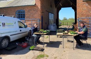 Cheshire Wildlife Trust welcomes sightings of orchids