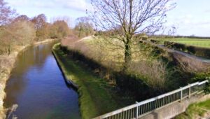 Stray cow sparks fire crew rescue at Nantwich canal