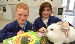 Reaseheath College and local schools team up for rabbit project