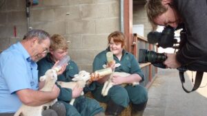 TV’s Fred Talbot enjoys Reaseheath College’s lambing event