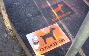 Public consulted over Cheshire East “special powers” on tackling dog fouling