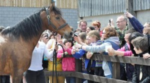 'Joey' meets the public - reaseheath college