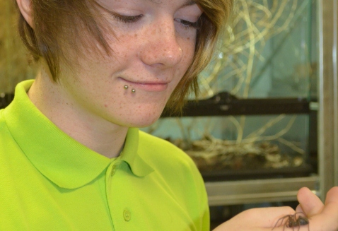 Sean Hennessy at Reaseheath College with house spider portrait