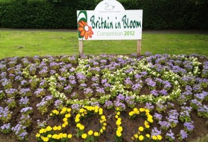 Wistaston in Bloom - Beech Drive