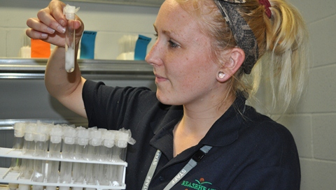 Lauren Lane with fen raft spiderlings at Reaseheath College