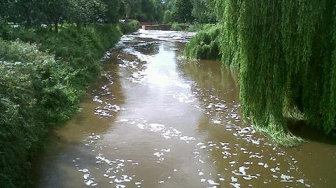 Very swollen River Weaver, Nantwich (July 2012)