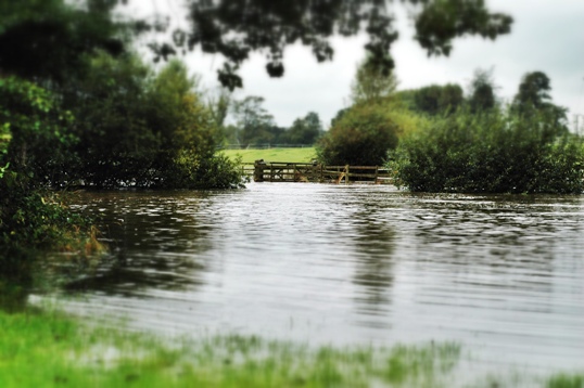 more Nantwich flood pictures (pic by Tony Winterbottom)