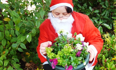 St Luke's Hospice Cheshire Santa fortnight