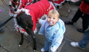 Greyhound Rescue Christmas Fair at Nantwich a runaway success!