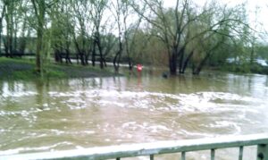 Latest flooding pictures of River Weaver in Nantwich