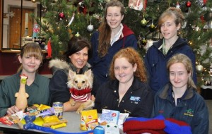 Nantwich students help homeless dogs with Christmas fundraiser