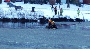 Nantwich Lake swan incident