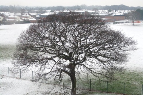 South Cheshire Winter weather