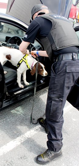 North West Motorway Police crackdown