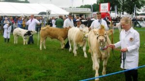 Nantwich Show organisers to stage volunteers meeting