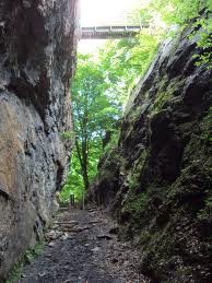 Crewe & Nantwich Ramblers explore Loggerheads on latest trip