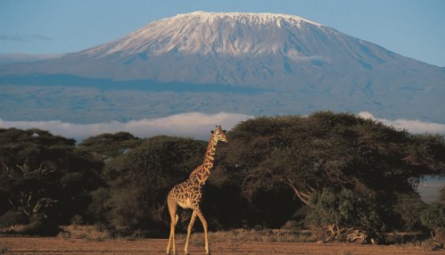 Kilimanjaro Trek