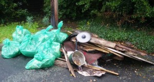 Nantwich Litter Group uncovers fly-tipping horror under hedge