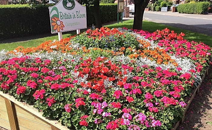 2019 - Beech Drive Wistaston flowerbed – photo by David Clews