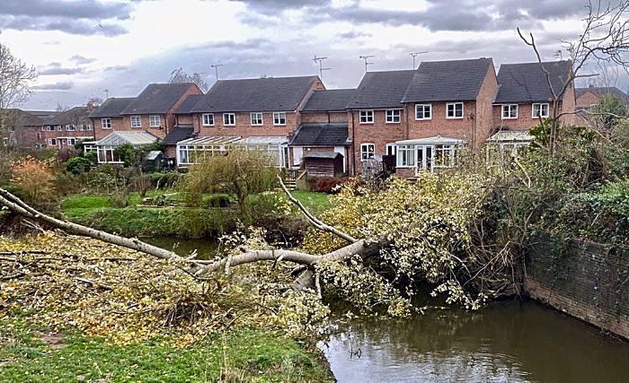 tree down by Storm Arwen