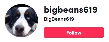 Beans TikTok page graphic