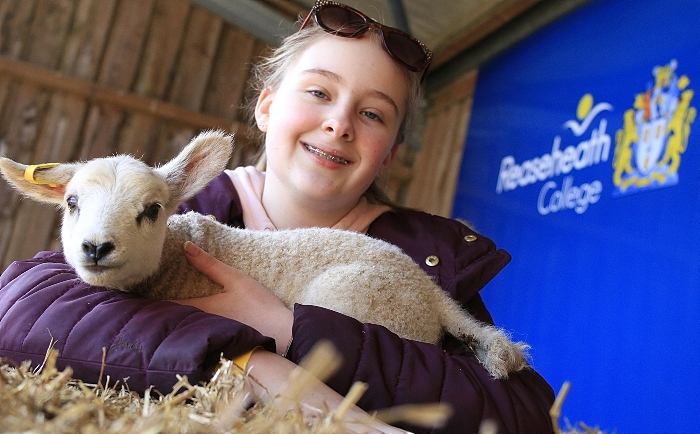 Isabella Yates 13 yrs - lambing weekends