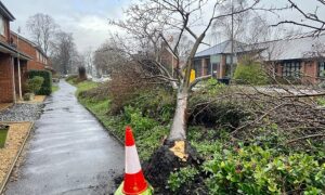 More weather warnings as Cheshire East set for heavy rain and winds