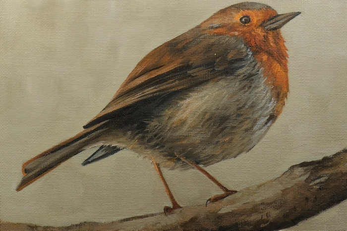 Robin - Movement exhibition