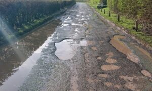 Residents petition CEC over pothole-ridden Wrenbury roads