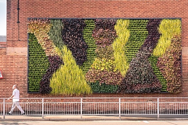 Bentley Living Wall in Crewe