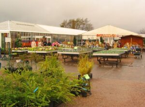 Wyevale sells Bridgemere Gardens to Blue Diamond