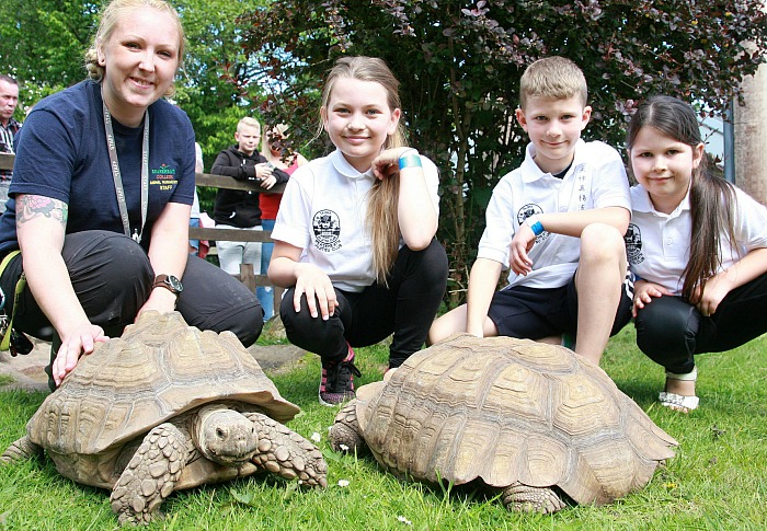 9. Lily, 10, Ollie, 8 and Daisy, 5, Ball meet our tortoises at Reaseheath Zoo