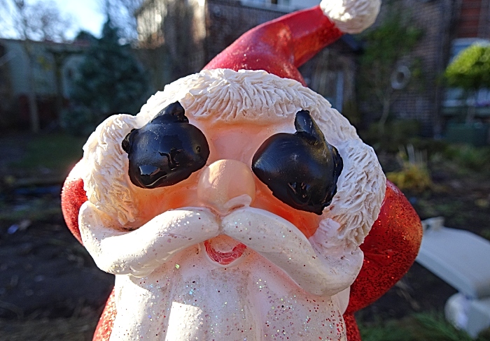 A shy Father Christmas gnome