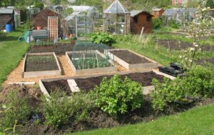 Tarporley Allotment Holders Society to stage Open Day