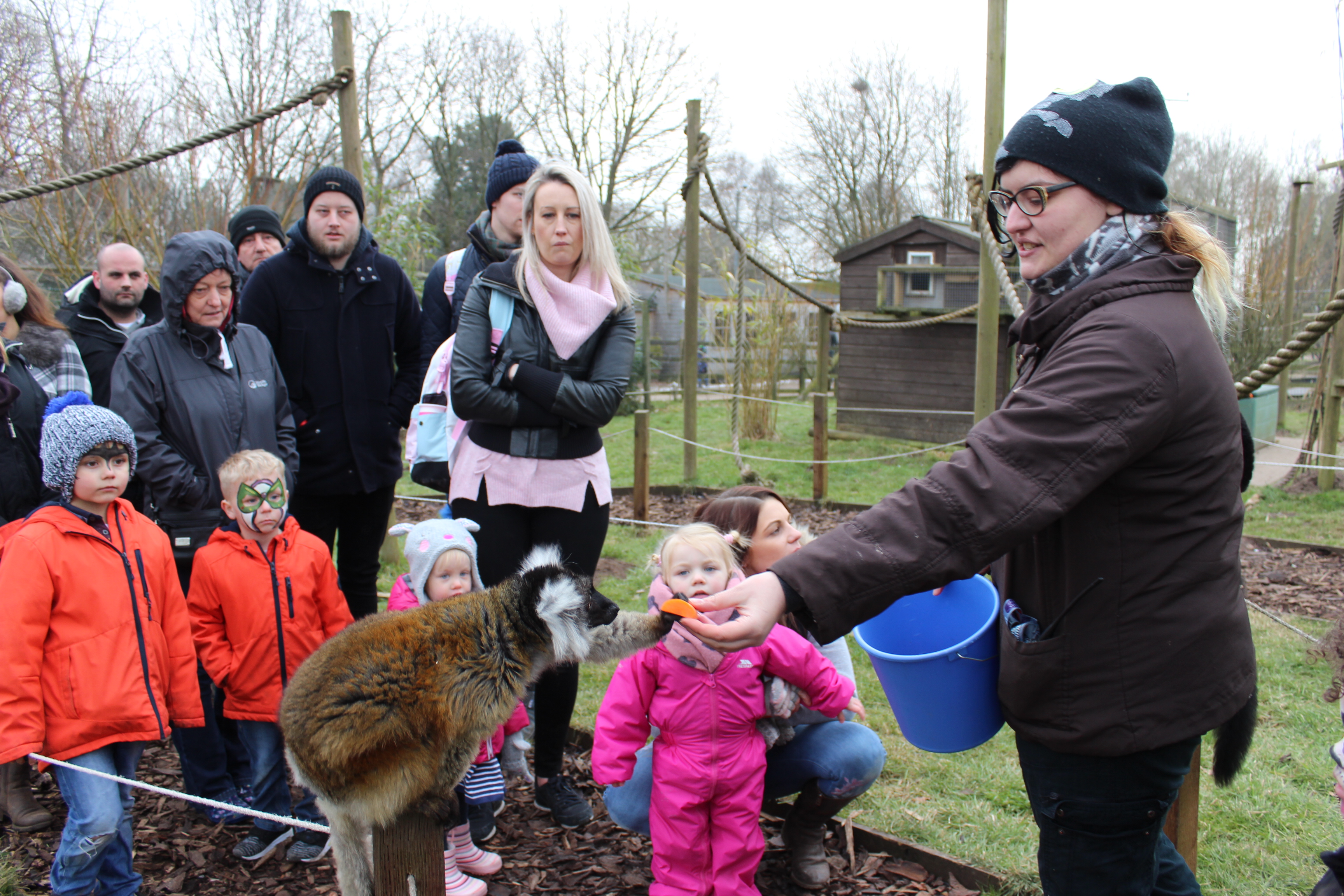 Anne-Marie Smith, BSc Zoo Management, lemur enclosure