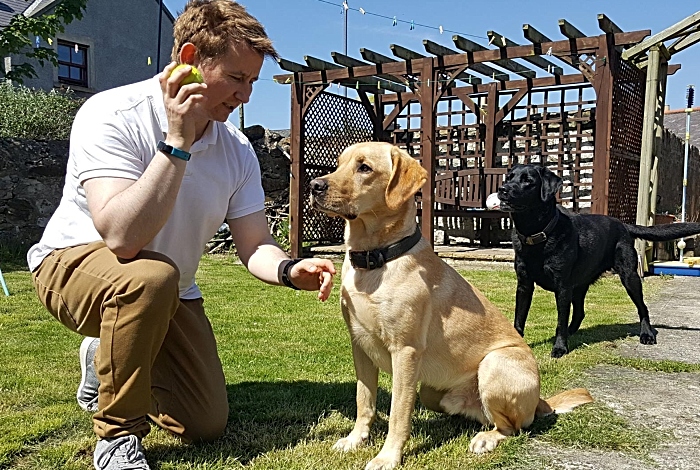 Barking Mad host with Labradors - dog cuddling project