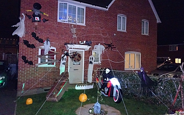 Barn Croft Road - giant spiders web (1)