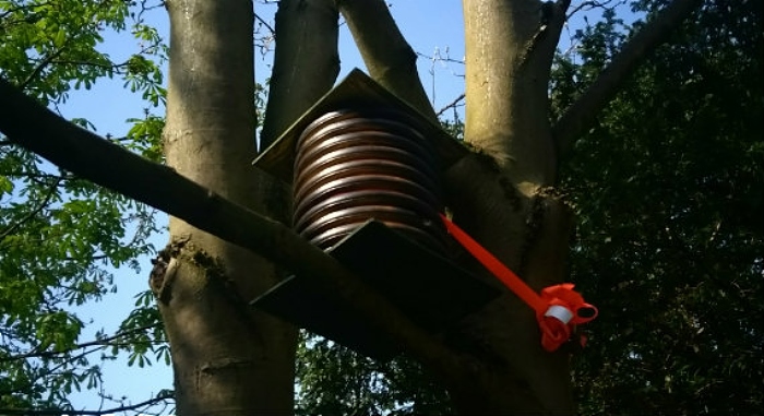 Bee hive in Queens Park Crewe (1)