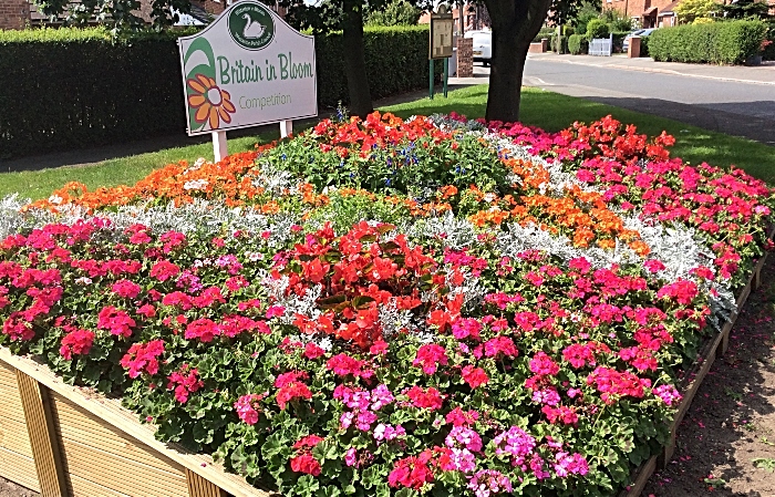 Beech Drive Wistaston flowerbed – photo by David Clews