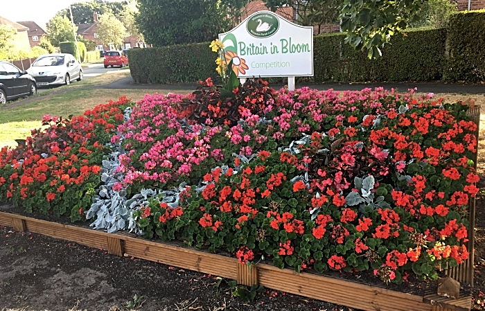 Beech Drive flower bed - photo by David Clews