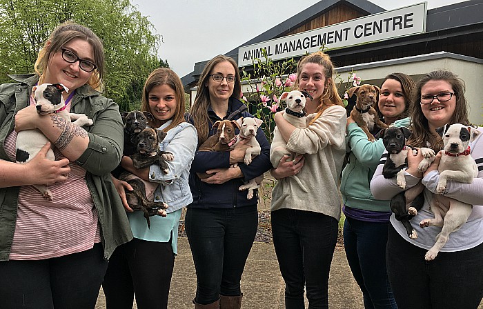 Beth Young Jasmin Wonnacott Emma Caskie Lucy King Kelly Page Tesni Davies + puppies