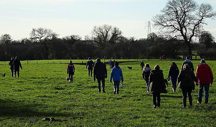 Boxing Day walk across fields in Wistaston