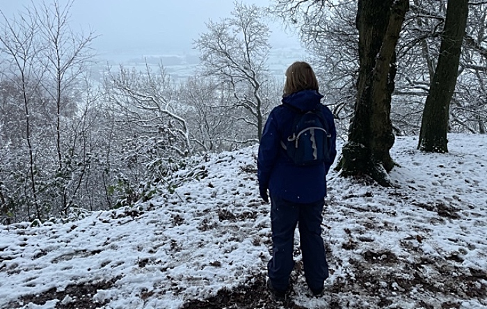 Bulkeley Hill in snow