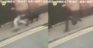 Police appeal for CCTV footage in hunt for men who stole dogs