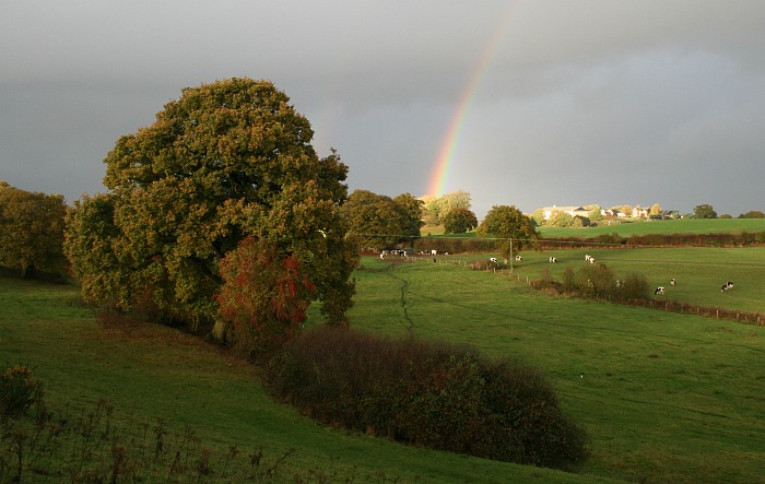 HS2 phase 2 - Cheshire Countryside c. Matt Lawton