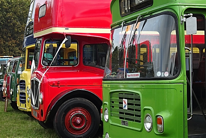 Yesteryear Classic bus display (1)