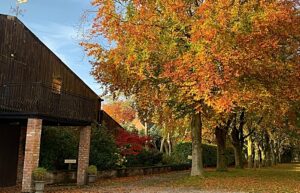 Clonter Opera Theatre in Autumn (1)