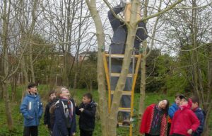 Nantwich cubs in conservation work at Coed Wen community woodland