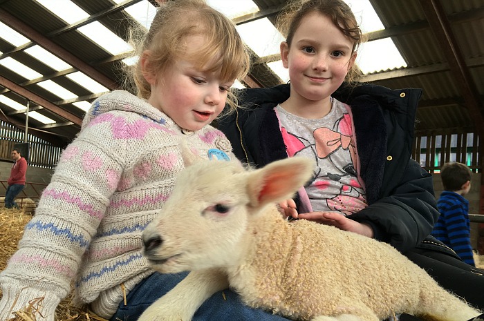 Cousins Hope Williams, 2 yrs, and Alexie Williams, 8 yrs, both from Nantwich